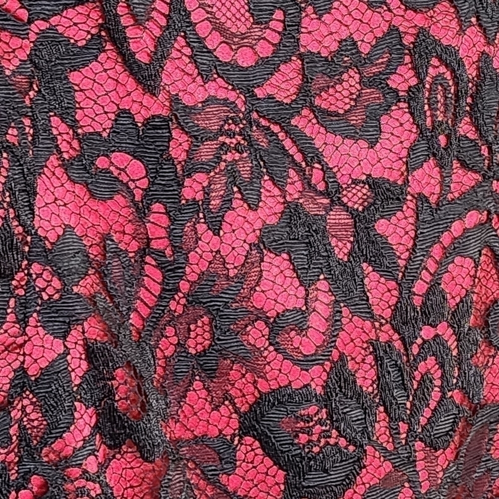 TADASHI Dress Shoji Cocktail Womens Size 4 Red Black Lace Eyelash Fairygoth - Picture 4 of 13